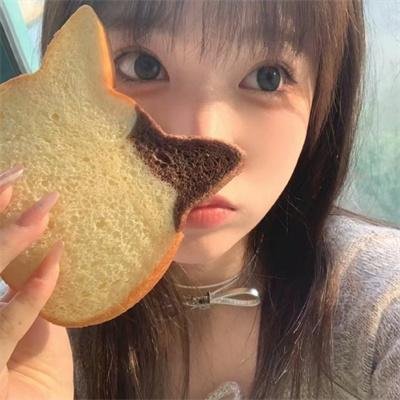 与狗狗一起生活