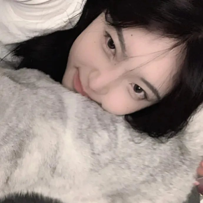 鸡密真相